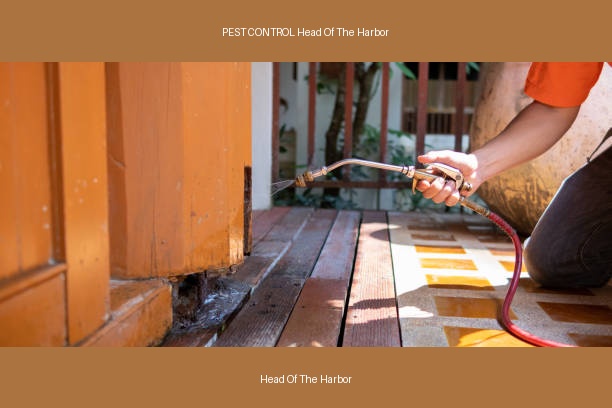 PEST CONTROL Head Of The Harbor